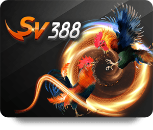 ZingPlay Chính Thức 247: Cách Tải Và Đăng Ký Nhanh